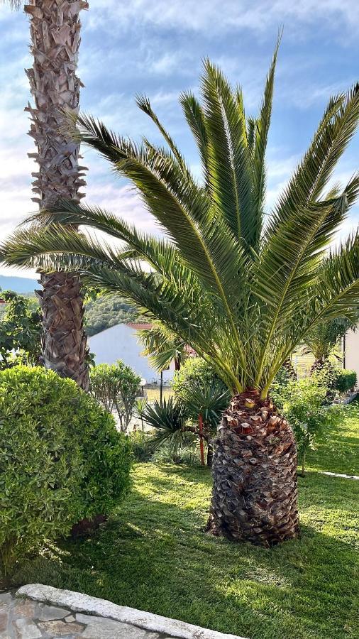 Palma Seaside Villa 2 Сарти Экстерьер фото